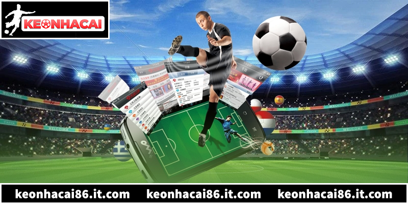 Quy trình 5 bước soi kèo nhà cái không sợ lỗ vốn