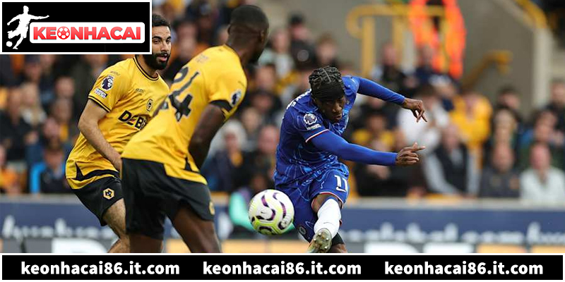 Khám phá Chelsea vs Wolves vòng 25 Ngoại Hạng Anh